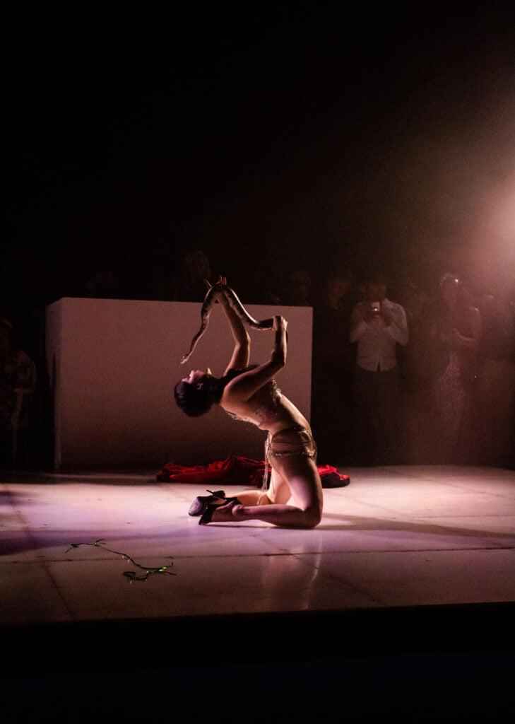 snake charmer entertainer london