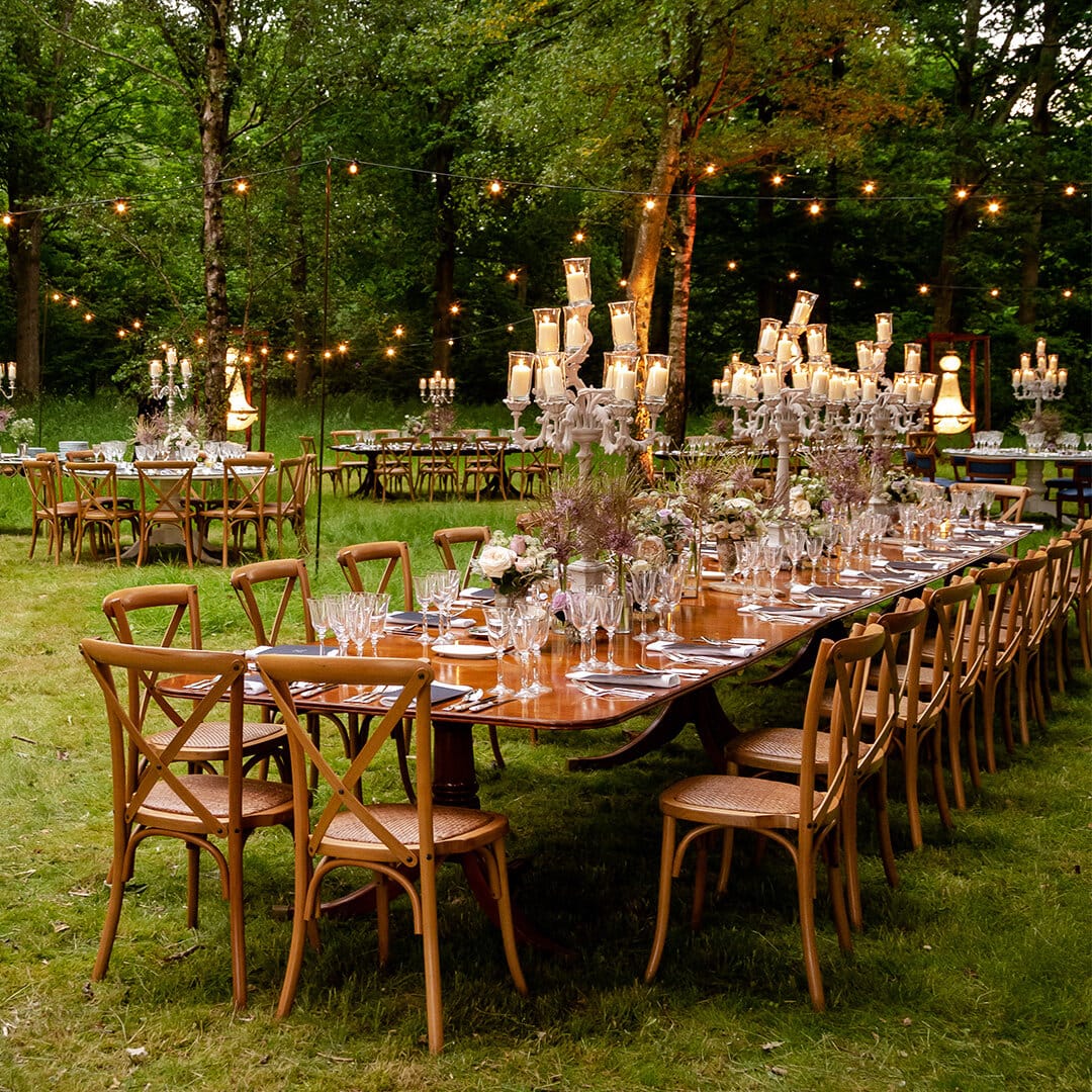 A dinner staged in a forest at dusk