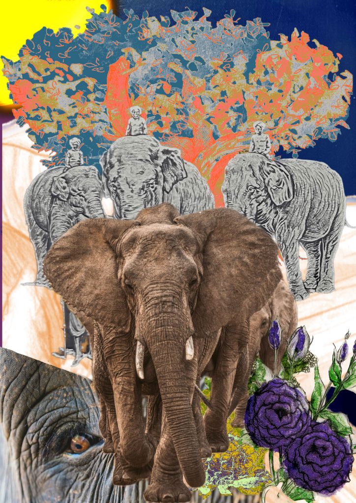 A graphic showing elephants walking and an illustrated tree in grey and orange.