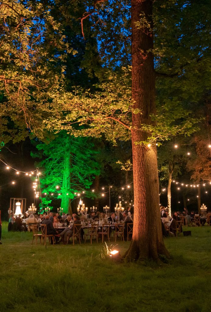 A dining table in a woodlands lit in green.