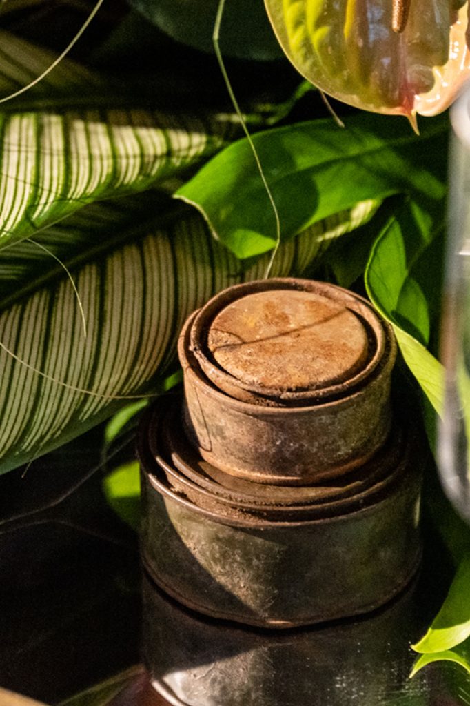 Navy SEAL Museum object amongst palm tree leaves.
