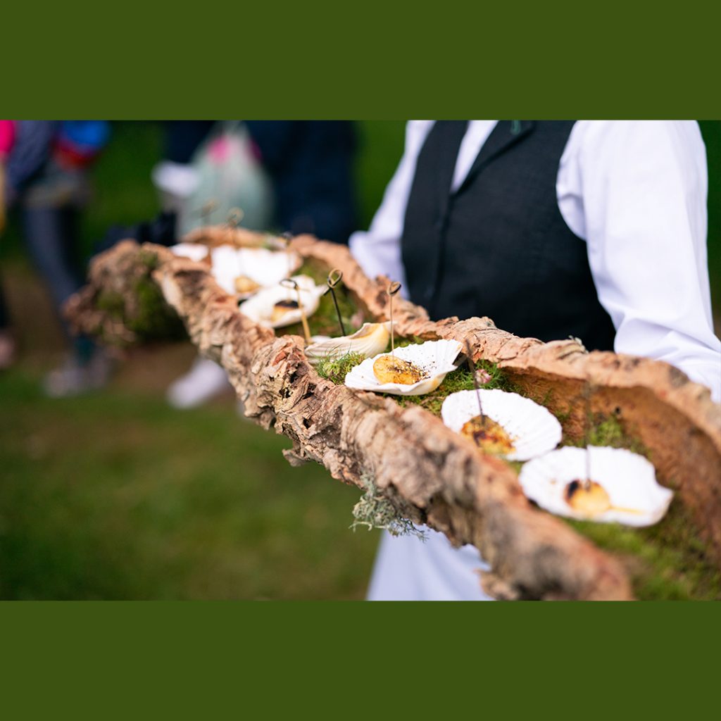 Scallops served in their shells presented on a hallow piece of tree bark