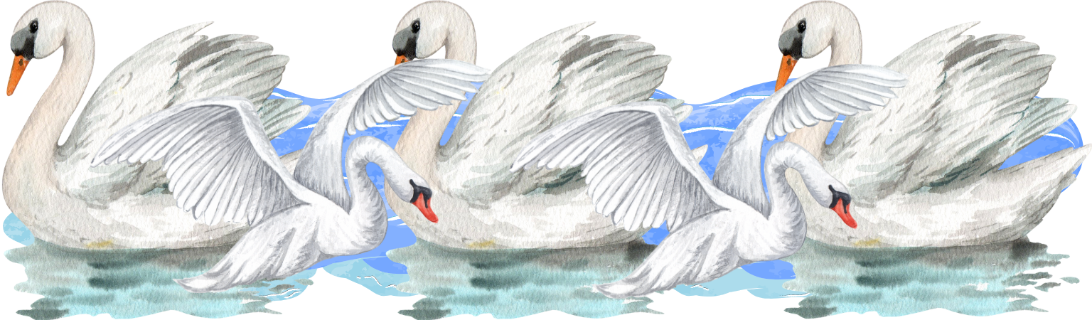 Immersive Romance Worlds