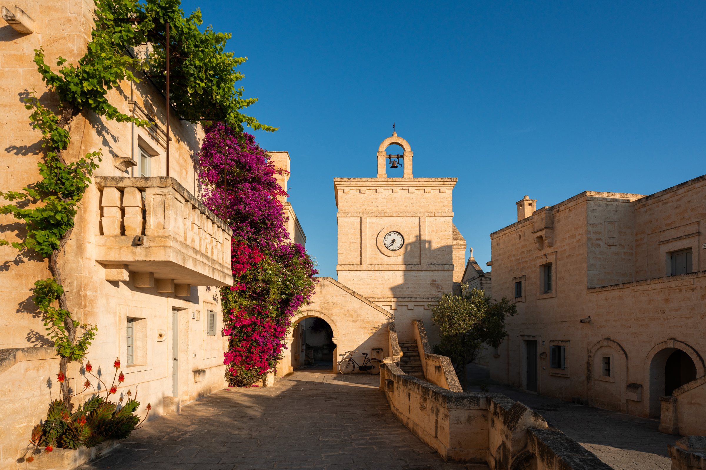 Bougainvillea along the lane to the clock tower.