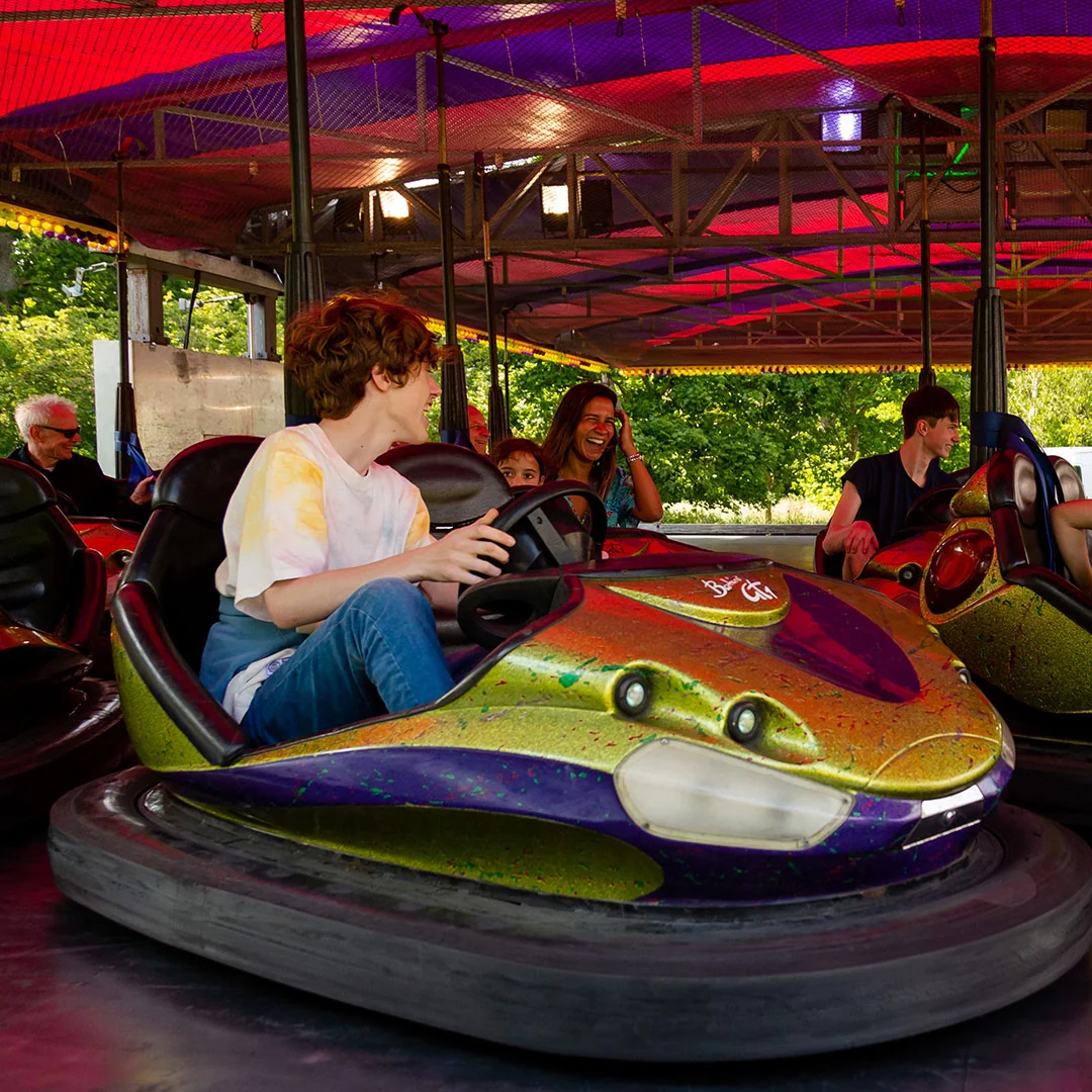 Guests driving the dodgems under the painted canopy of the ride.