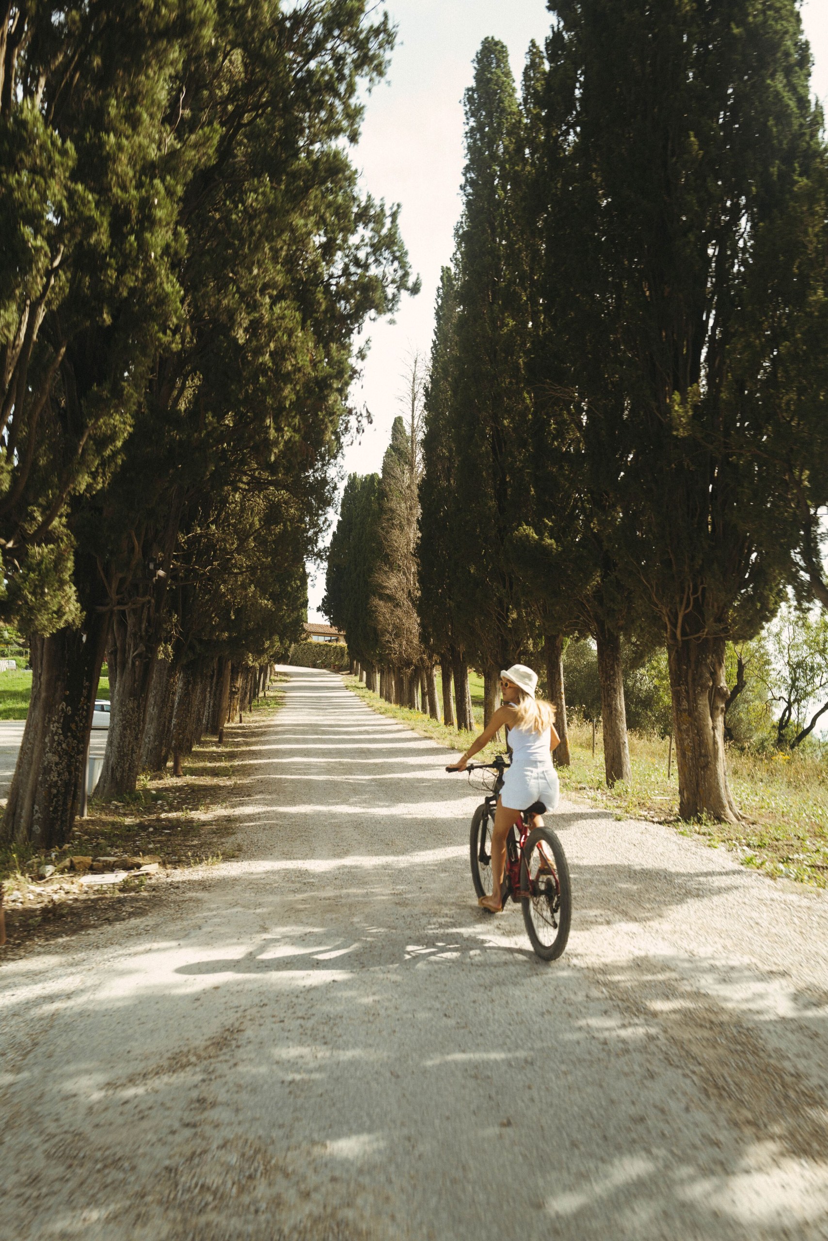 The cypress lane near Castello di Casole.