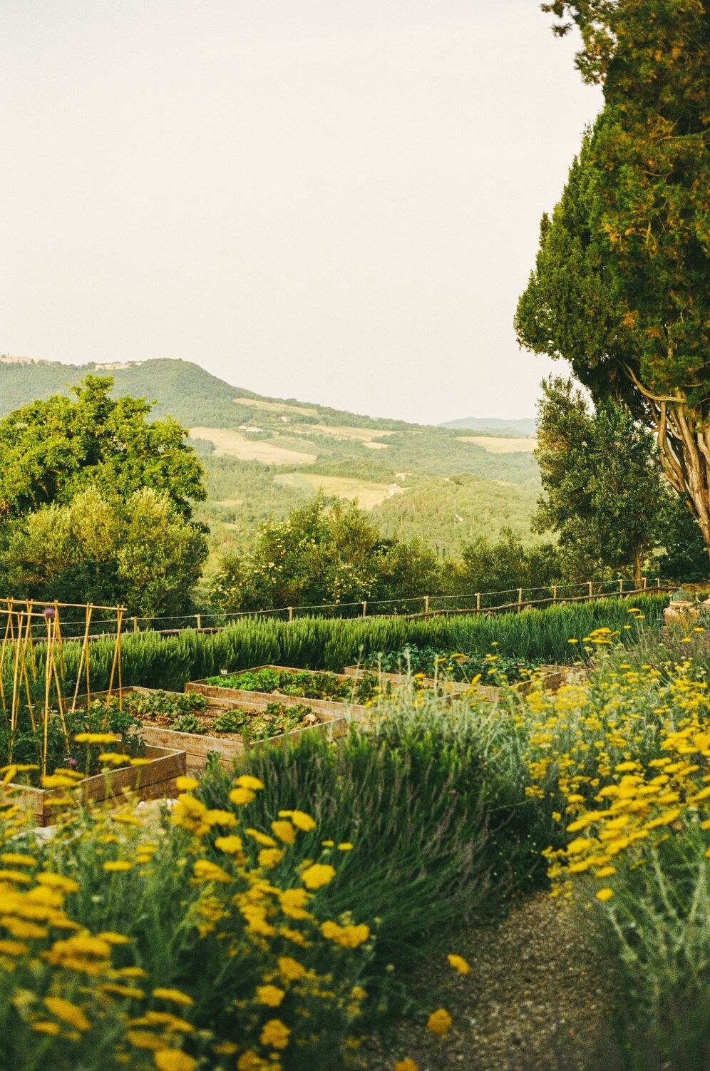 The kitchen garden at Castello di Casole.