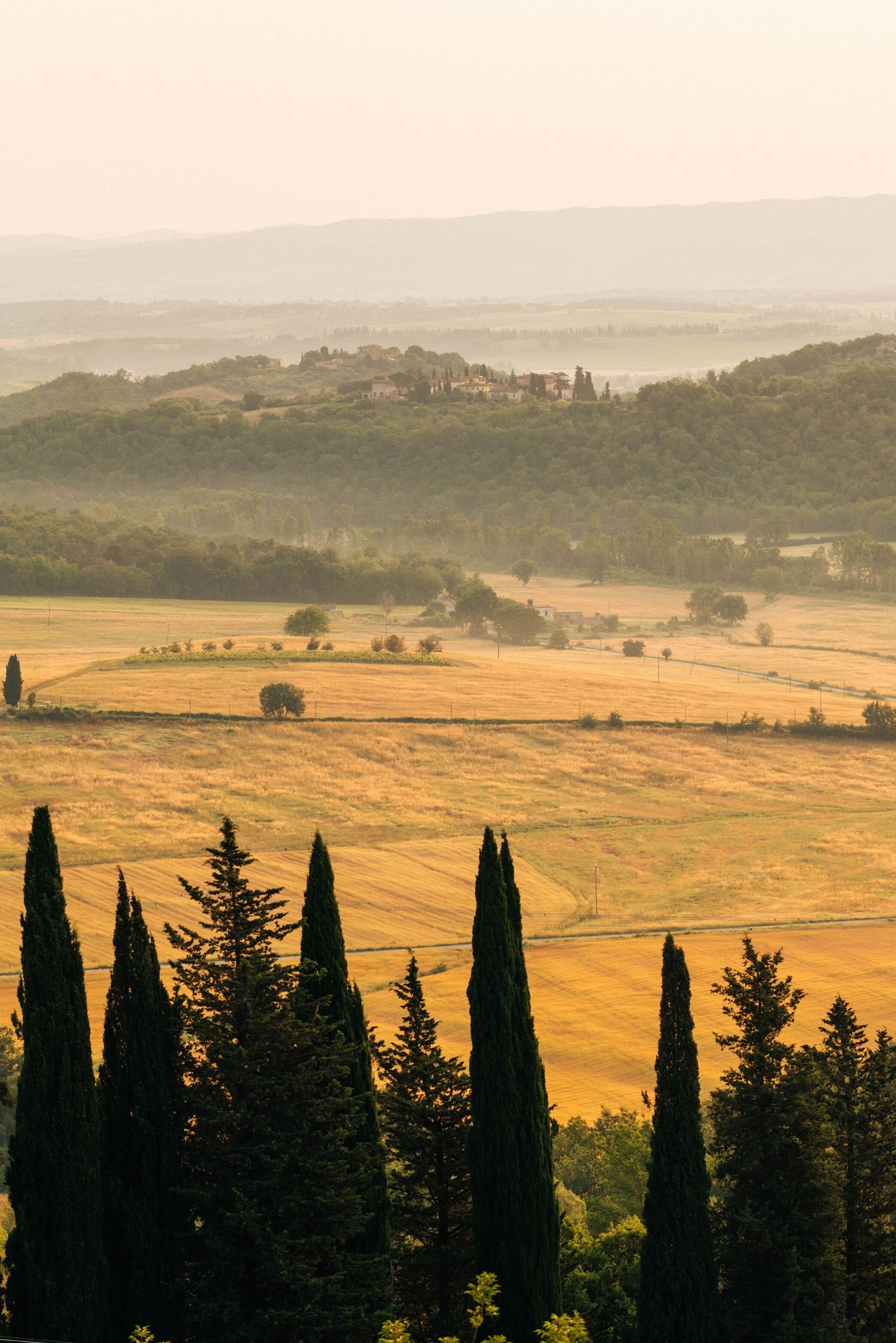Tuscan hills and cypresses at golden hour near Castello di Casole.