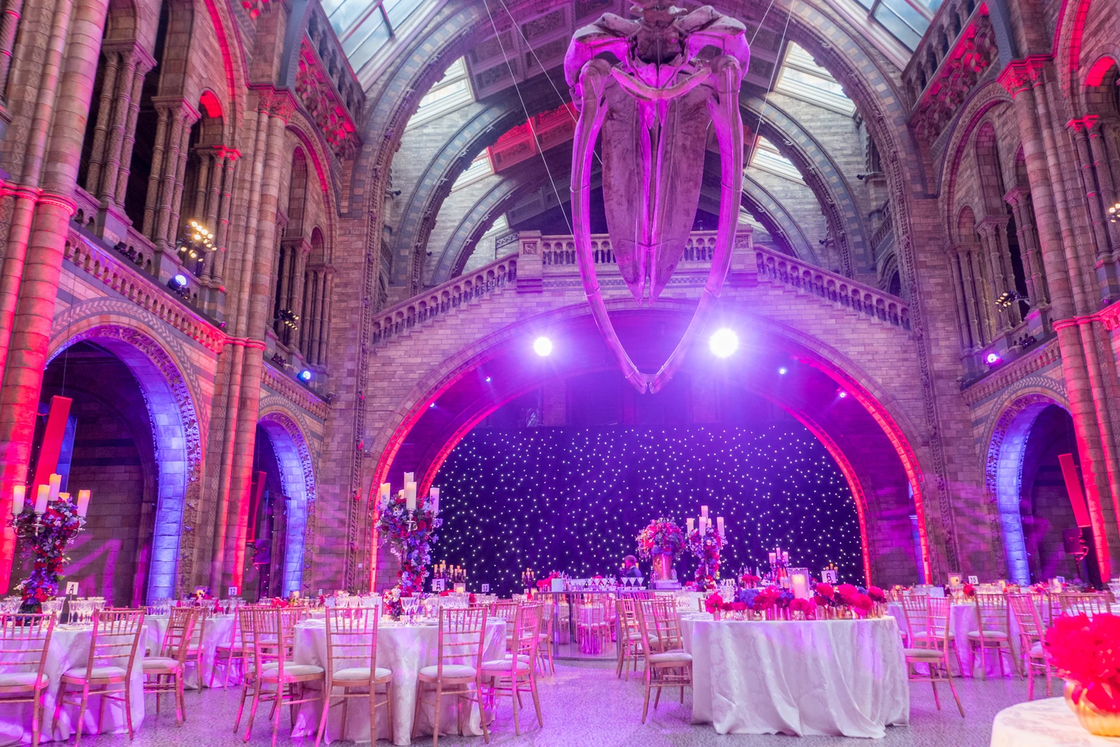 The great arch of Hintze Hall from the floor, the whale skeleton above it, a starcloth across the opening and the tables and candelabra laid beneath.