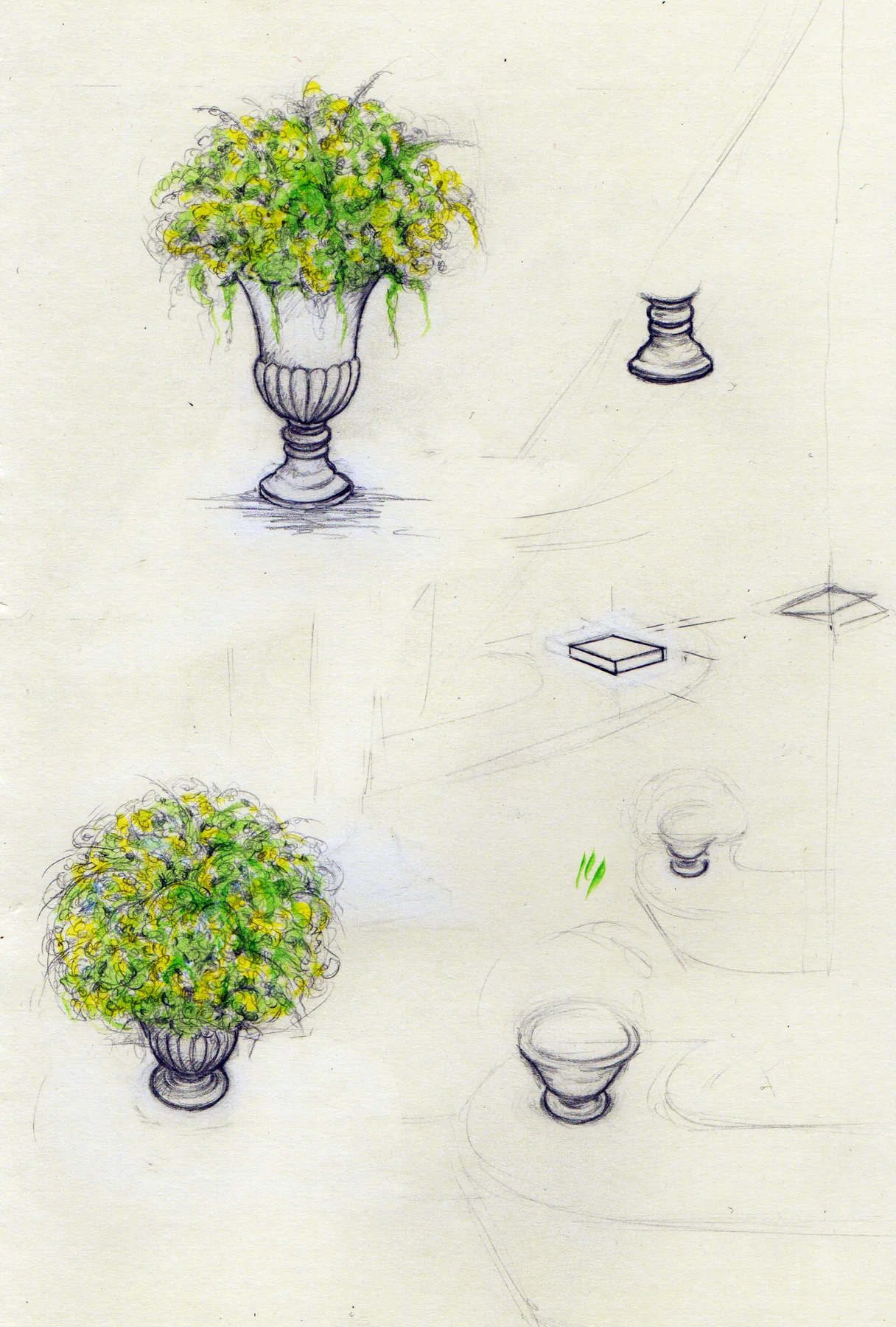 Christopher's pencil and watercolour drawing of urns, flowers and table objects.